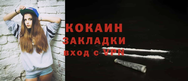 прущая мука Вяземский